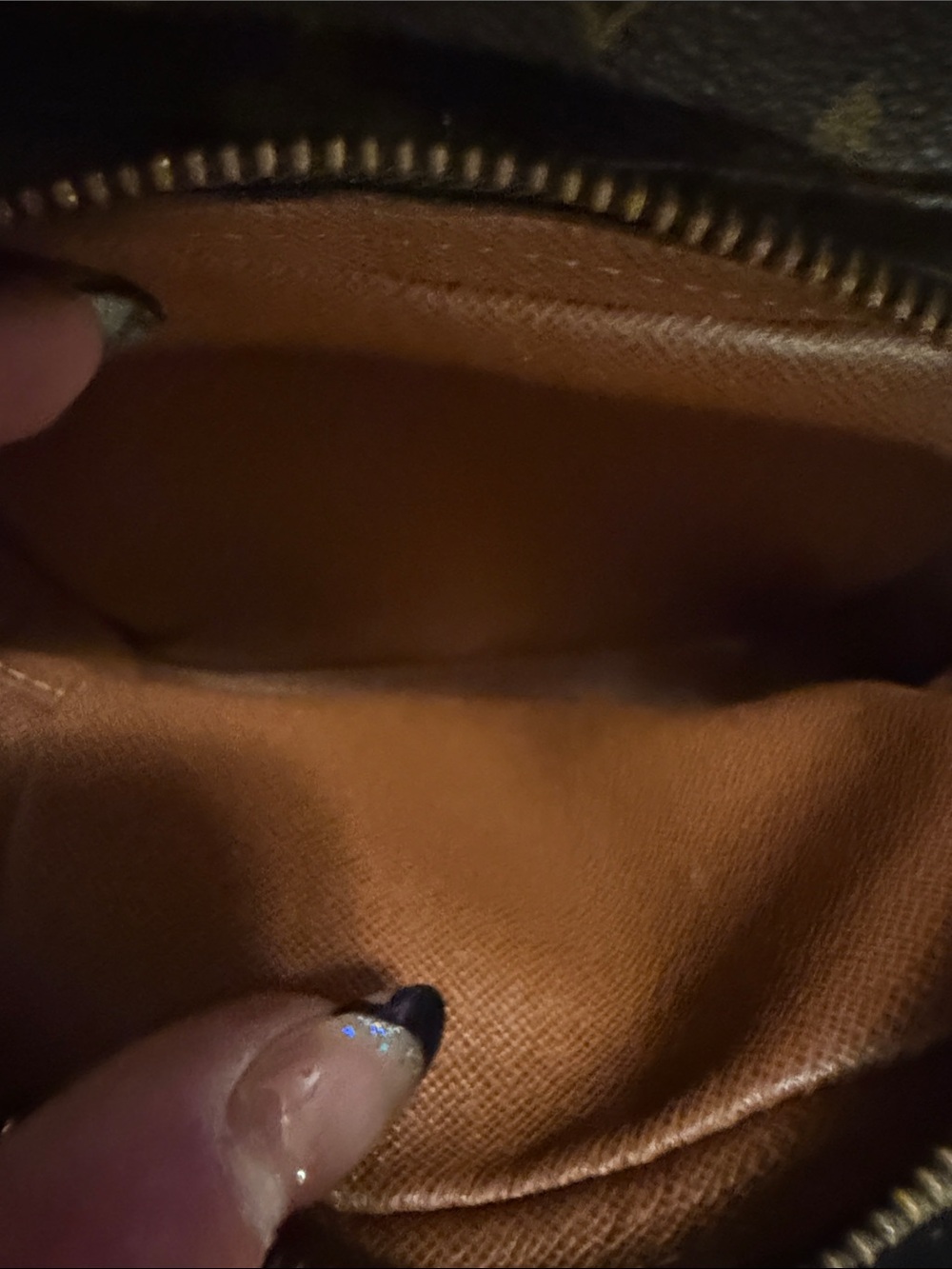 Louis Vuitton Amazon Crossbody Bag - Picture 5 of 7